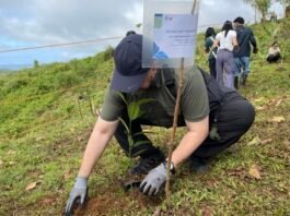 PBBM Calls for Stronger National Action on Climate Resilience